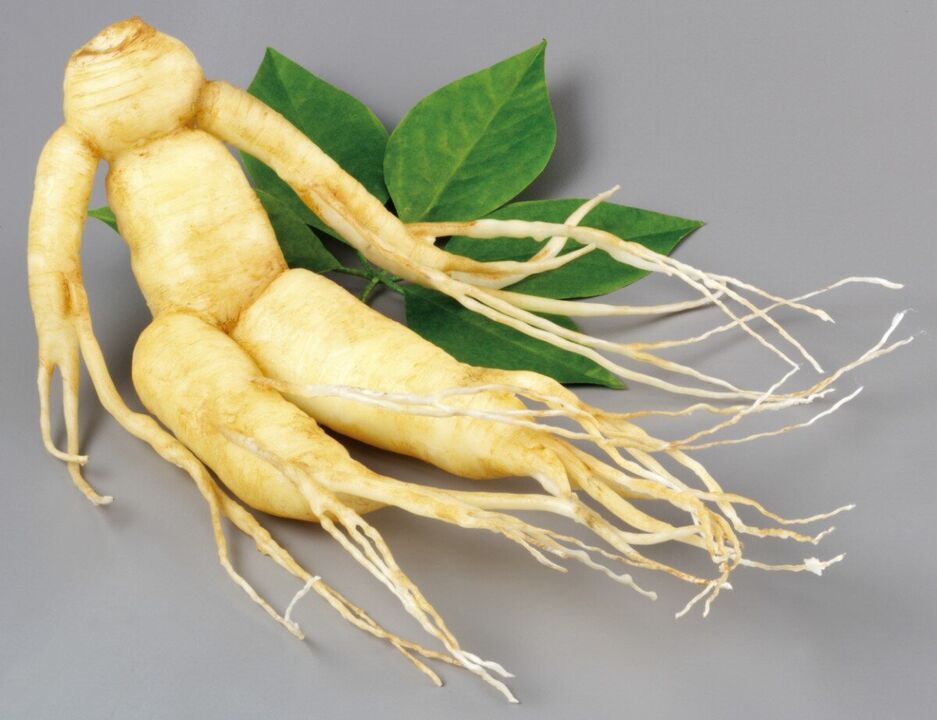 ginseng root has its potential