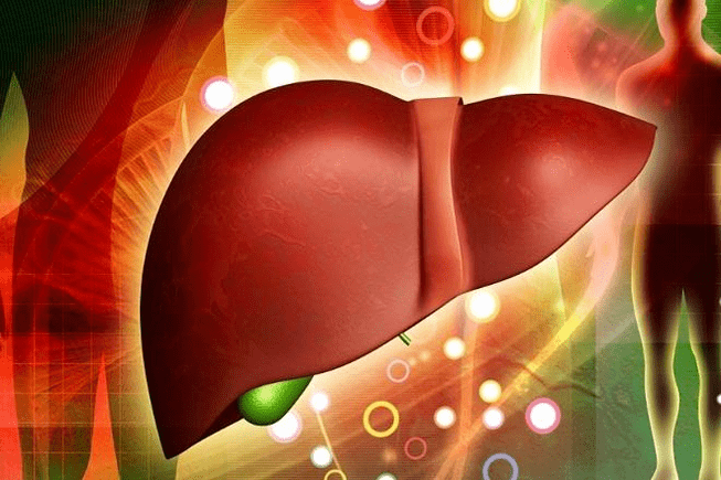 the effect of drugs on the liver
