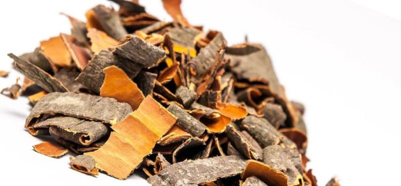Aspen bark for broths and infusions that increase male potency